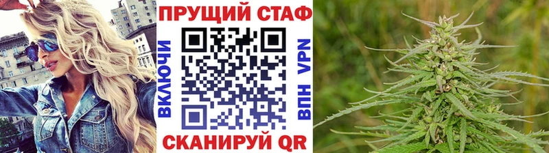 Как найти наркотики Каргополь ГАШ  Alpha-PVP  Cocaine  Меф  Каннабис 