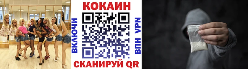 купить закладку  Каргополь  COCAIN Fish Scale 
