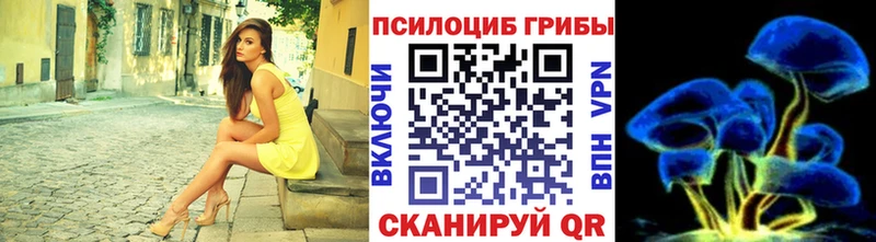 что такое наркотик  Каргополь  Псилоцибиновые грибы мицелий 